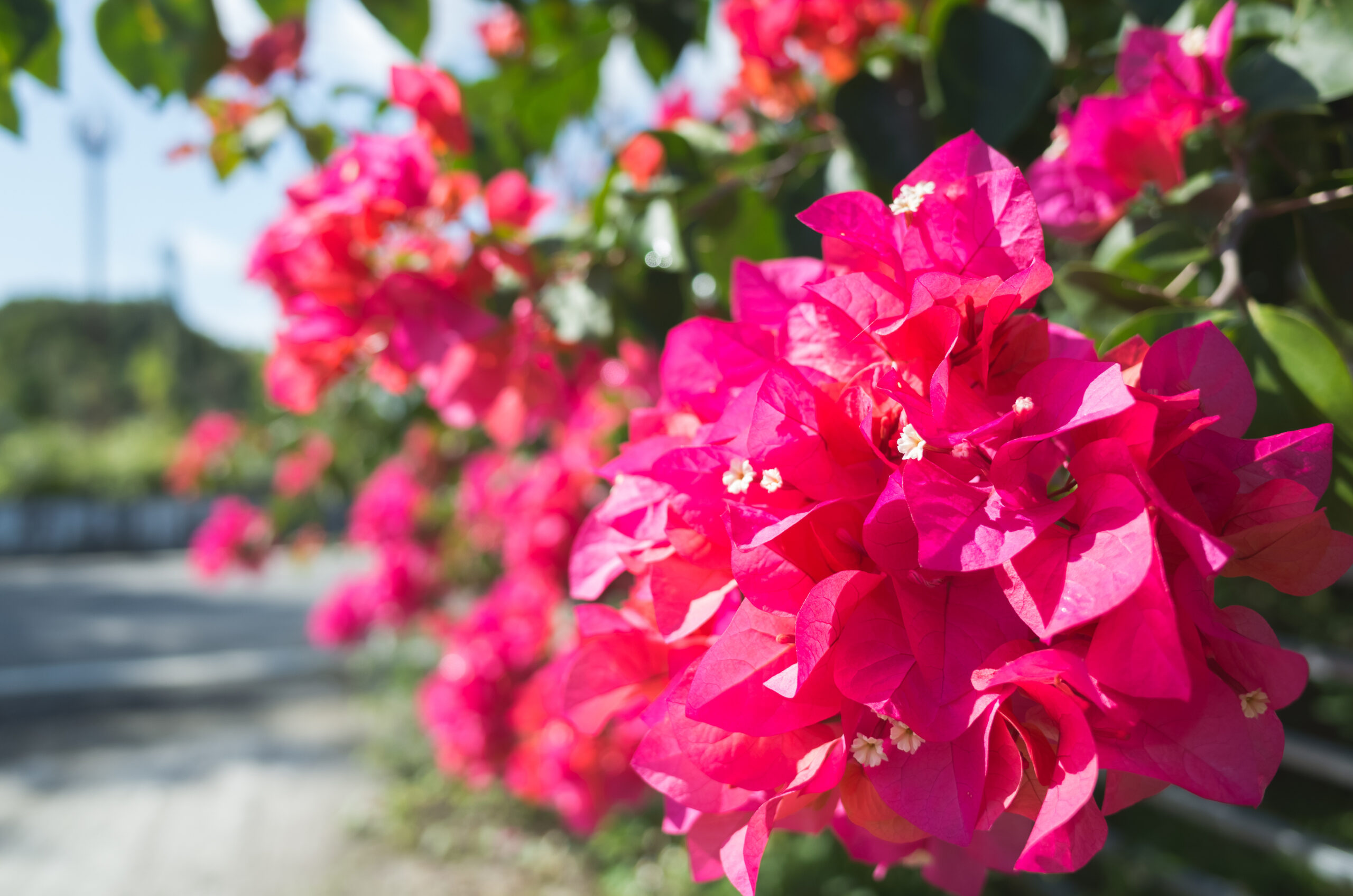 (An Almost) Spring 2026 Market Report in Northeast LA